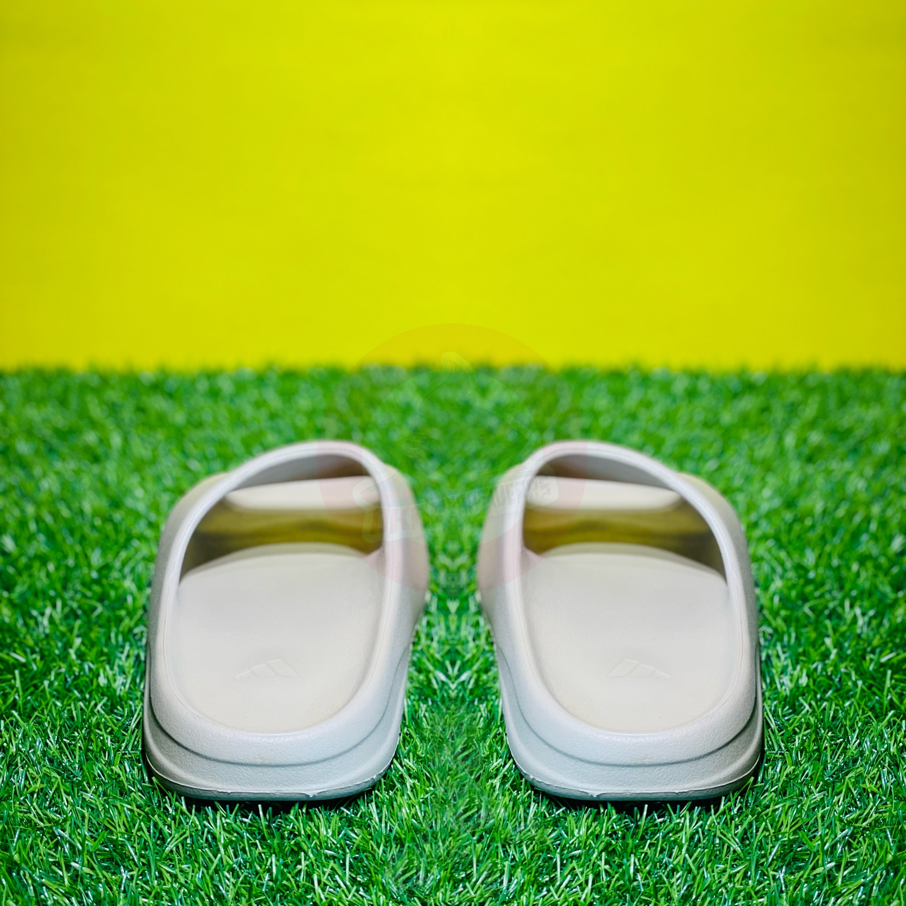 AD YEEZY SLIDES - PURE (DOT PERFECT)